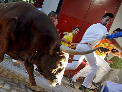 Quarto dia de corrida de touros da Festa de São Firmino 2015