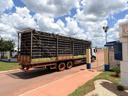 Caminhão com frango chega a unidade da JBS-Friboi próximo a Brasília.