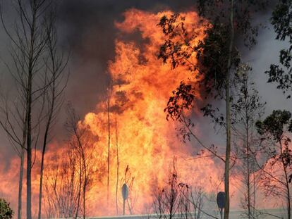 Incêndio em Portugal mata ao menos 63 pessoas e fere outras 54