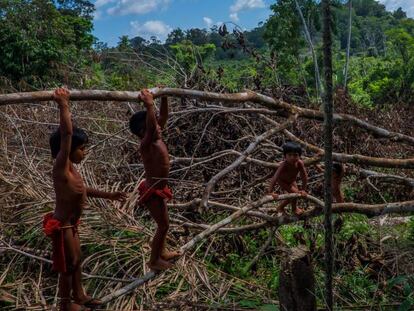 Crianças wajãpi brincam na floresta amazônica.