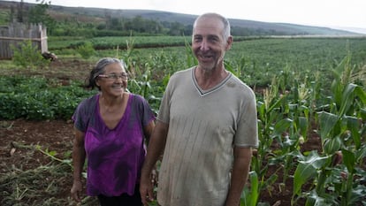 O casal Claudir Antonio e Maria Bee vive um acampamento do MST no Paraná.