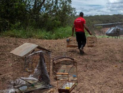 Brumadinho: as últimas notícias sobre o rompimento de barragem da Vale