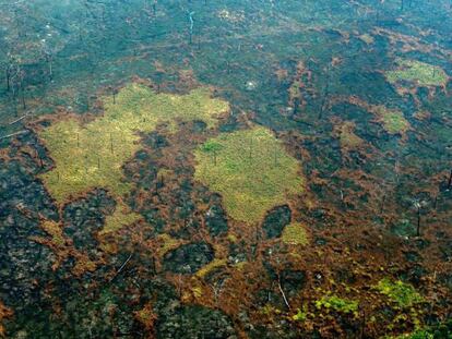 Área arrasada pelo fogo na Amazônia brasileira, no último sábado 24 de agosto. / Vídeo: Presidente do Brasil, Jair Bolsonaro.