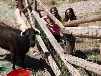 La vaca Margarita.