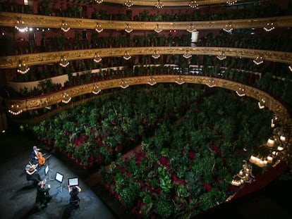 Concert al Liceu amb 2.000 plantes com a únics espectadors.
