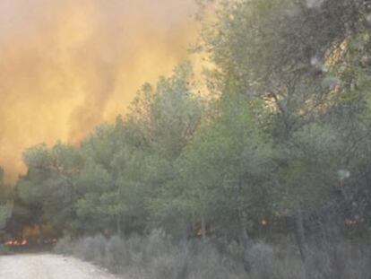 Un incendio en Paterna y Riba-roja obliga a desalojar cerca de 400 chalets