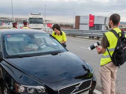 Los Mossos contra el mosquito tigre