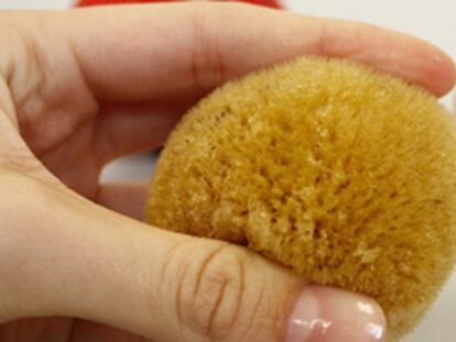 Manresa rebaja la propuesta de la CUP sobre las copas menstruales