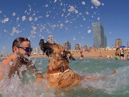 Los usuarios de la playa de perros piden más espacio