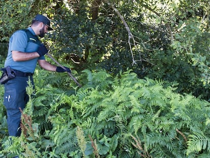 Un agente de la Guardia Civil en la búsqueda de Diana Quer. ÓSCAR CORRAL ATLAS