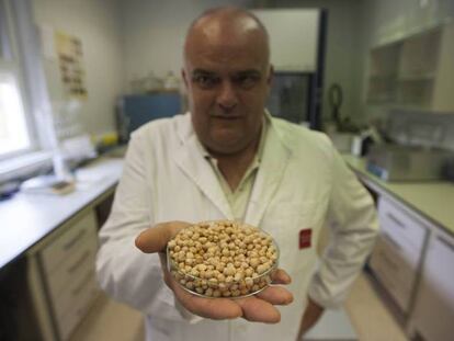 Félix Cabello, director de departamento de investigacion agroalimentaria del IMIDRA, con el garbanzo madrileño.