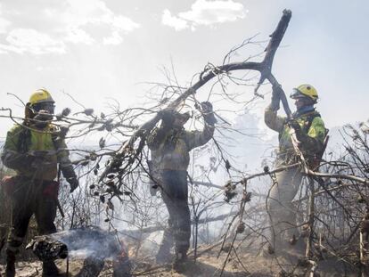 Trabajos de extinción en el incendio de la Sierra Calderona.