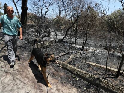 Jesús Martínez, jardinero jubilado de 55 años, es uno de los vecinos de Cadalso afectados por el incendio. En el vídeo, imágenes del incendio.