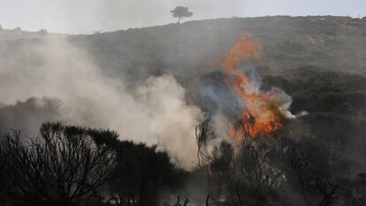 Incendio del puerto de la Morcuera. En vídeo, lo que se sabe del incendio.