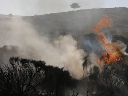 Incendio del puerto de la Morcuera. En vídeo, lo que se sabe del incendio.