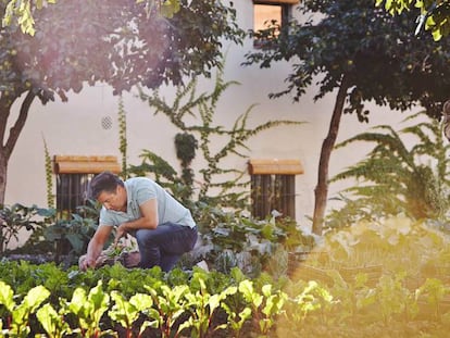 Joan Roca, en el huerto que los hermanos tienen al lado de El Celler de Can Roca. En vídeo, los hermanos Roca utilizan la cocina para vencer el cambio climático.