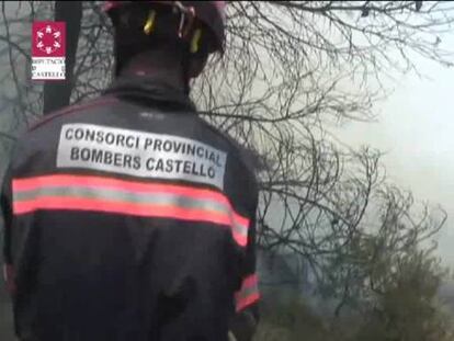 Decenas de bomberos trabajan para atajar el fuego en Andilla.