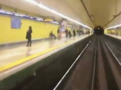 Protesta por la muerte del galgo perdido en las vías del metro