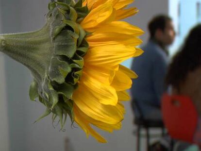 La primavera de los teatros