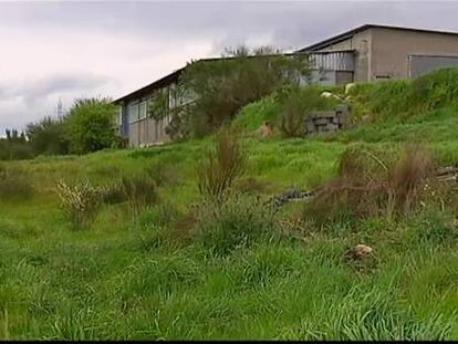 Una banda organizada roba 120 terneros en Ourense en cinco meses