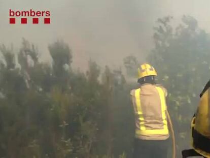 Controlado el incendio que ha quemado 18 hectáreas en Collserola