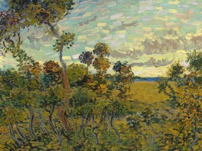 Descubierto un Van Gogh de su serie floral