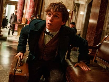 Sai novo trailer de ‘Animais Fantásticos e Onde Habitam’, o ‘spin-off’ de Harry Potter