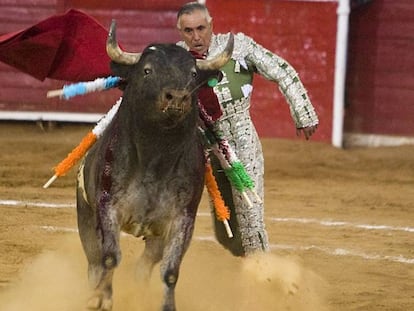 El Pana will never face another bull again.