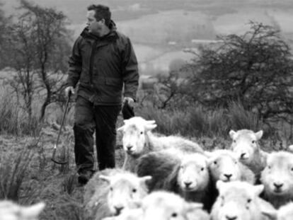 Contar la vida oveja a oveja