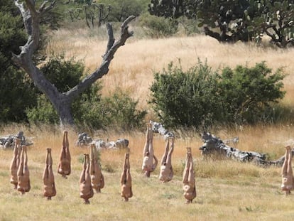 Instalacion de Tunick en San Miguel de Allende