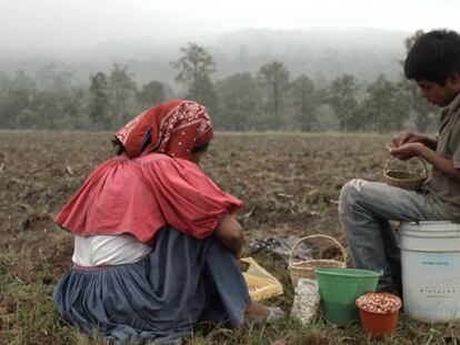 FOTO: Fotograma de 'El maíz en tiempos de guerra'. / VÍDEO: Tráiler de la película.