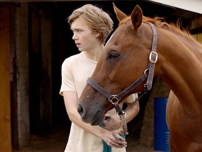 Tráiler de 'Lean on Pete'.