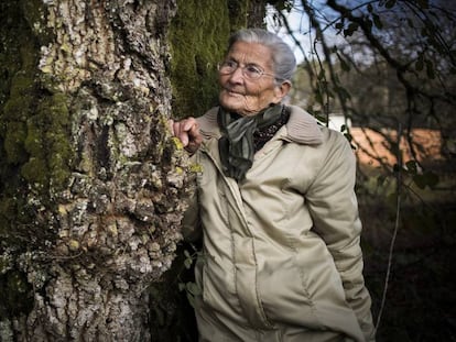 Benedicta Sánchez, ante el carballo da Porfía, en San Fiz de Paradela (Lugo). En vídeo, la entrevista con la actriz.