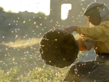 Hatice Muratova, en un fotograma de 'Honeyland'.