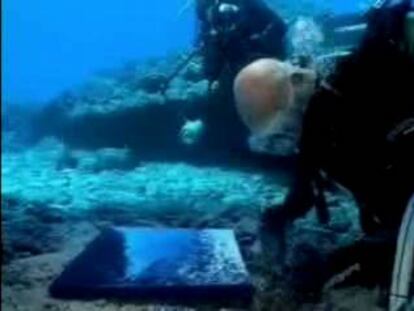 La XXXI edición recorre los fondos marinos y muestra su belleza.