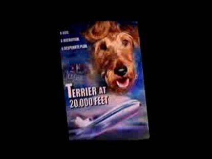 Tráiler 'Perro al rescate'