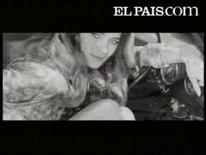 Tráiler 'Desacuerdo Perfecto'