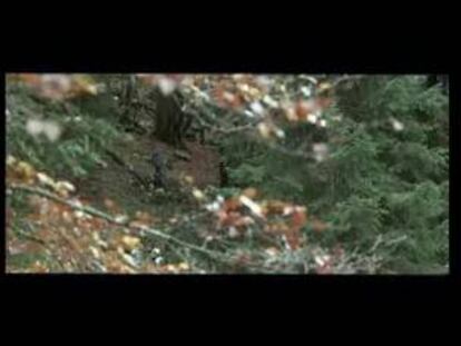 Tráiler de Una Amistad Inolvidable