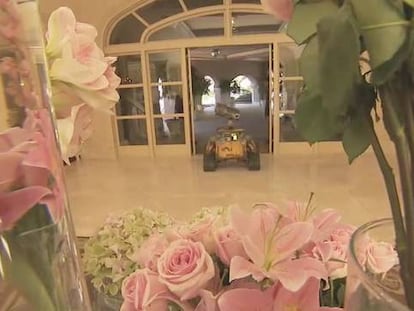 ¡Wall-E existe!