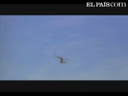 Tráiler de la película 'Atanarjuat, la leyenda del Hombre Veloz'