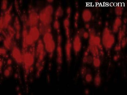 Como Nirvana mezclado con arena del desierto y el rock de los 70...