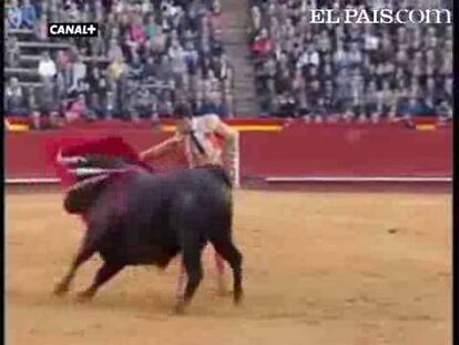 Daniel Luque, corneado en el segundo toro - Rubén Pinar corta una oreja. El Cid volvió a ofrecer su mejor cara. Al matador sevillano le tocó en suerte un primer toro que esperó en banderillas. Lo más importante fue la seguridad que mostró el torero sevillano tras una complicada temporada de 2009. <a href="http://www.elpais.com/toros/feria-de-fallas/"><b>Vídeos de la Feria de Fallas</b></a>