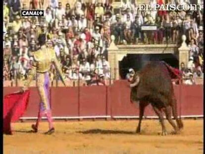 La Maestranza de Sevilla recibió en su arena uno de los duelos más esperados de este final de temporada entre dos toreros de la tierra. Un mano a mano entre Daniel Luque y El Cid que estuvo condicionado desde su inicio por el viento y el juego de los toros de Alcurrucén, que no rompieron.