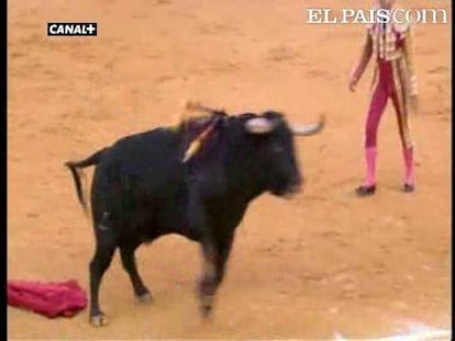 Novena de feria que no alcanzó eco por la baja casta y fuerza de los astados. Hubo buenos toros pero no terminaron de romper, siendo Serafín Marín el único que obtuvo premio cortando una oreja al quinto, en la tarde de despedida de Javier Valverde. <a href=" http://www.elpais.com/toros/feria-del-pilar/"><b>Vídeos de la Feria del Pilar</b></a>