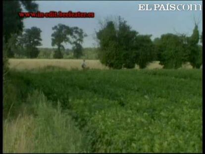 Escena del documental 'Brian Eno: another green world' de Nicola Roberts (2010)