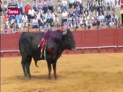 Fracaso ganadero sn paliativos en la tercera corrida de la Feria de Abril. Toros mansos, descastados y muy peligrosos impidieron el triunfo de tres toreros que, milagrosamente, salieron ilesos de la Maestranza.  <a href="http://www.elpais.com/toros/feria-de-abril/"><b>Vídeos de la Feria de Abril</b></a>  