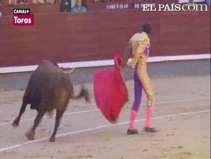 Fracasaron los toros de Núñez del Cuvillo, desiguales de presentación, mansos y descastados. Sorprendió Arturo Saldívar; Morante no tuvo oponentes y Talavante se diluyó. <a href="http://www.elpais.com/toros/feria-de-san-isidro/"><b>Vídeos de la Feria de San Isidro</b></a>