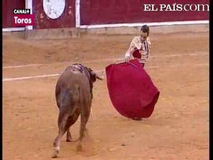 Octava jornada de abono de la Feria del Pilar