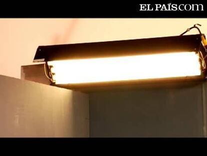 Ponte las gafas. Este domingo las necesitas para ver EL PAÍS SEMANAL