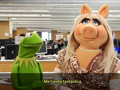 'Videochat' con los Muppets